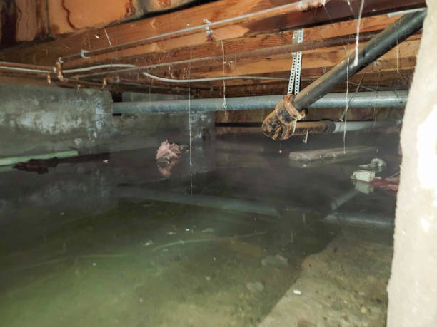 Best Flood damage cleanup  in Leavenworth, WA