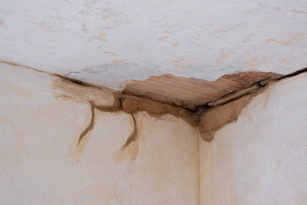 Best Water damage restoration near me  in Leavenworth, WA